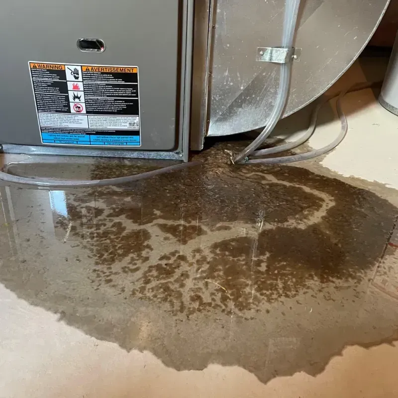 Appliance Leak Cleanup in Williamstown, KY